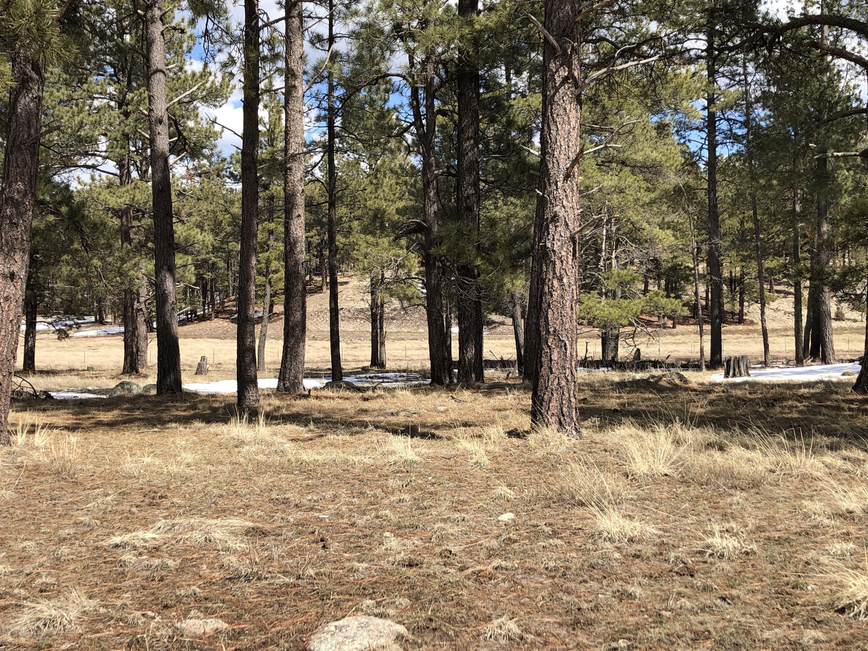 5 H Co Road Alpine, AZ 85920 - Photo 4 of 15