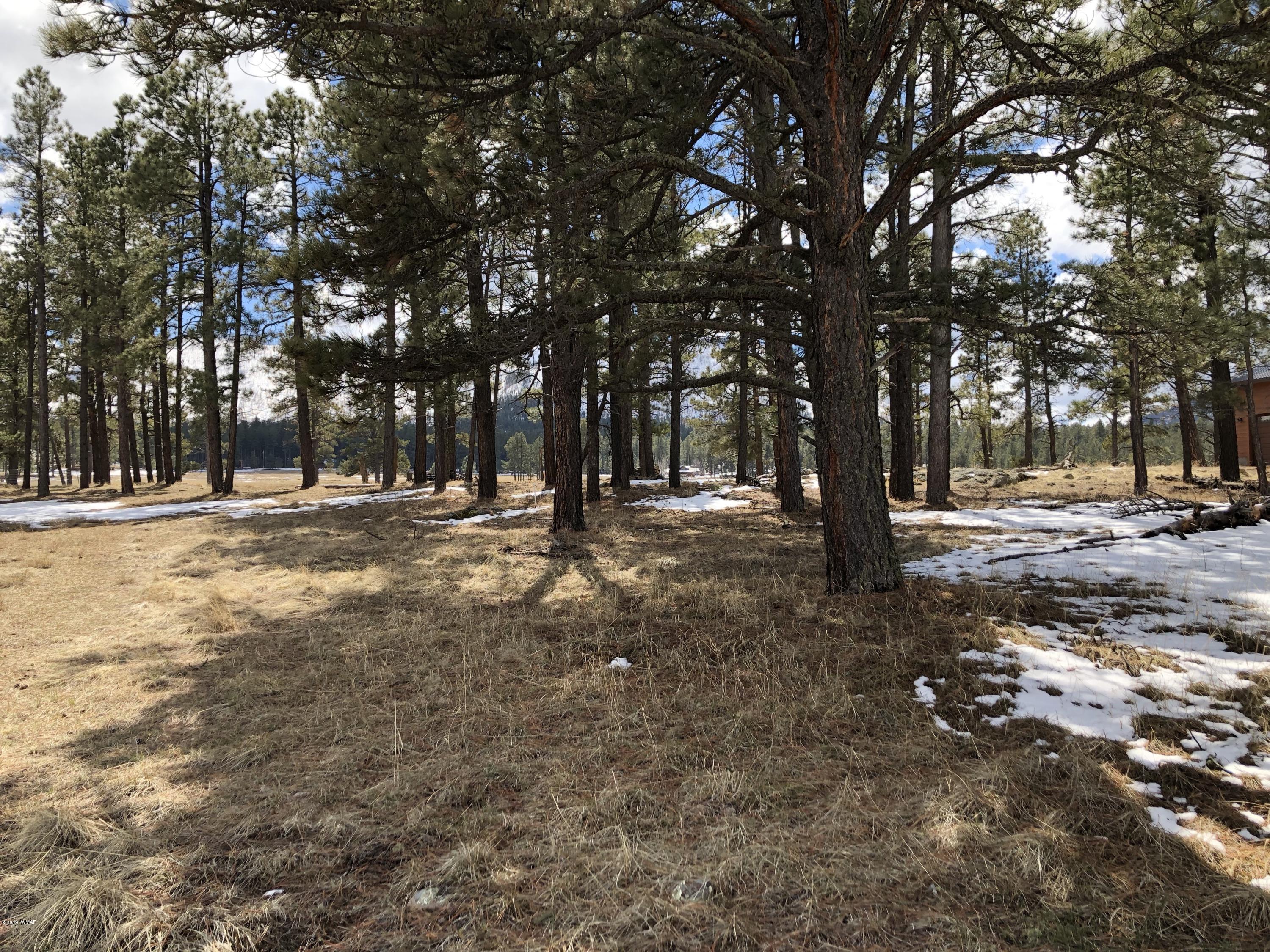 5 H Co Road Alpine, AZ 85920 - Photo 5 of 15