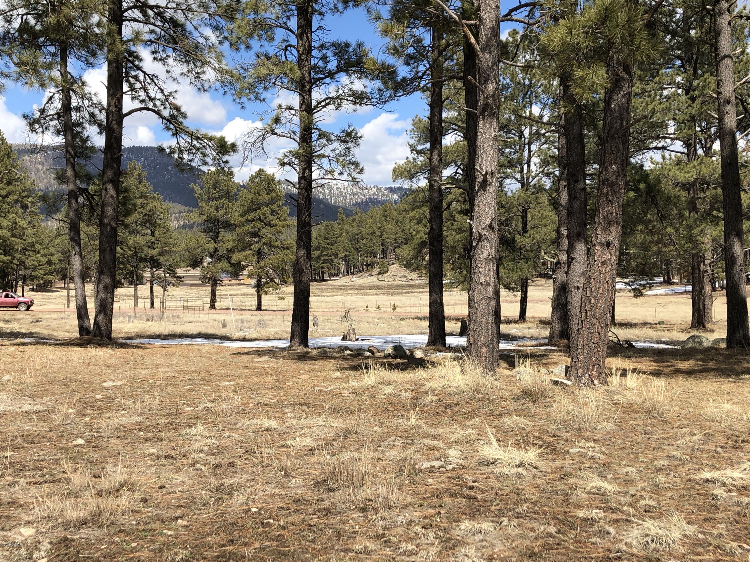 5 H Co Road Alpine, AZ 85920 - Photo 8 of 15