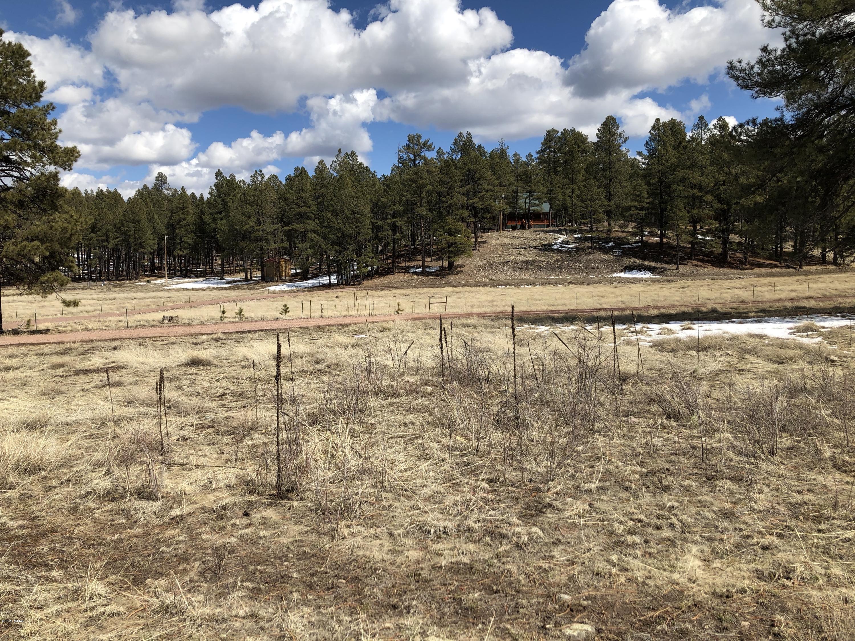 5 H Co Road Alpine, AZ 85920 - Photo 10 of 15