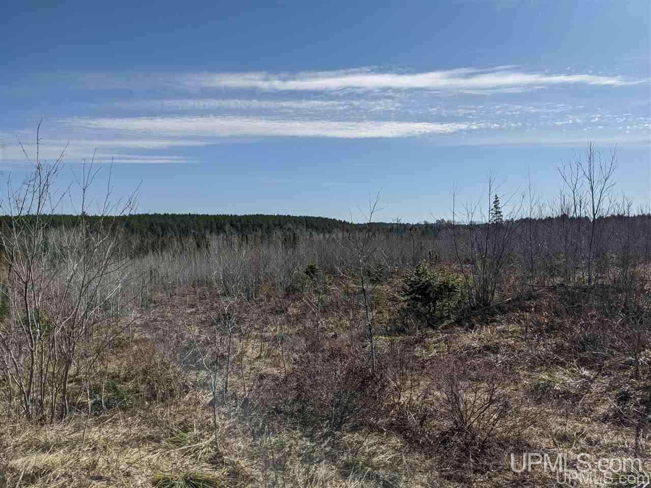 1 Little Bull Road, Unit N1/2NW1/4 Crystal Falls, MI 49920 - Photo 11 of 13