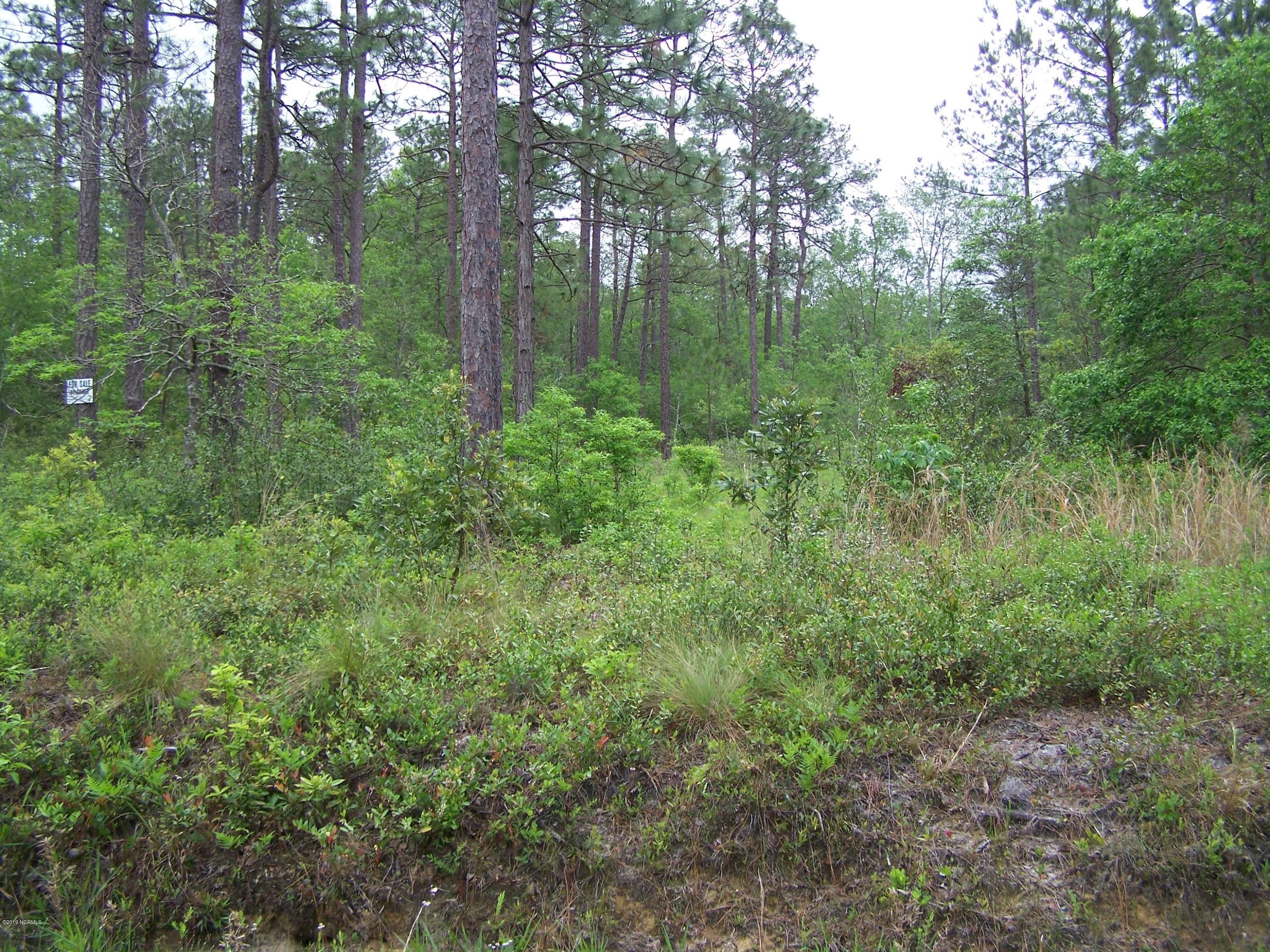 Lot 39 Drake Road Southport, NC 28461 - Photo 1 of 8 100_1732