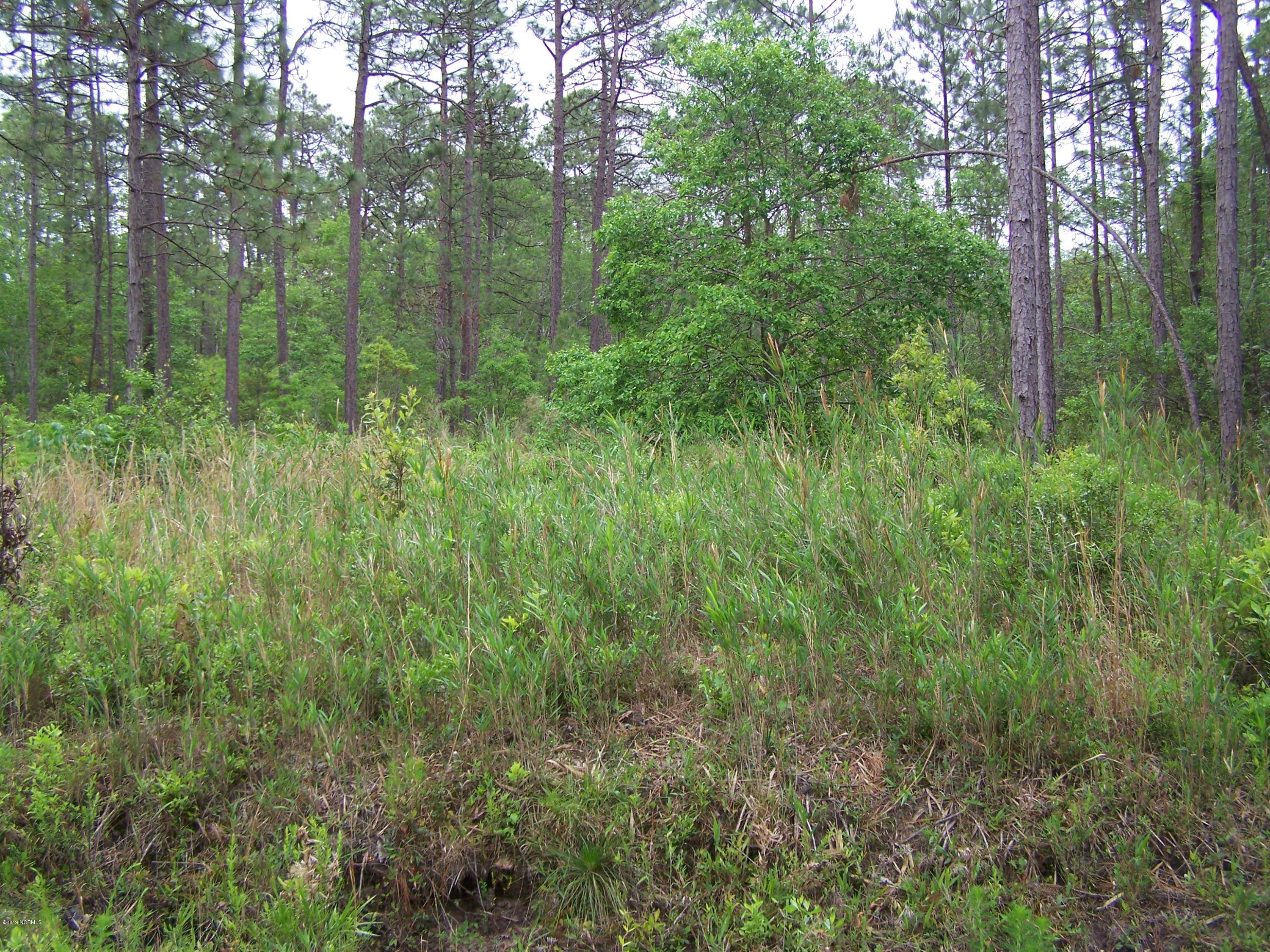 Lot 39 Drake Road Southport, NC 28461 - Photo 3 of 8 100_1731