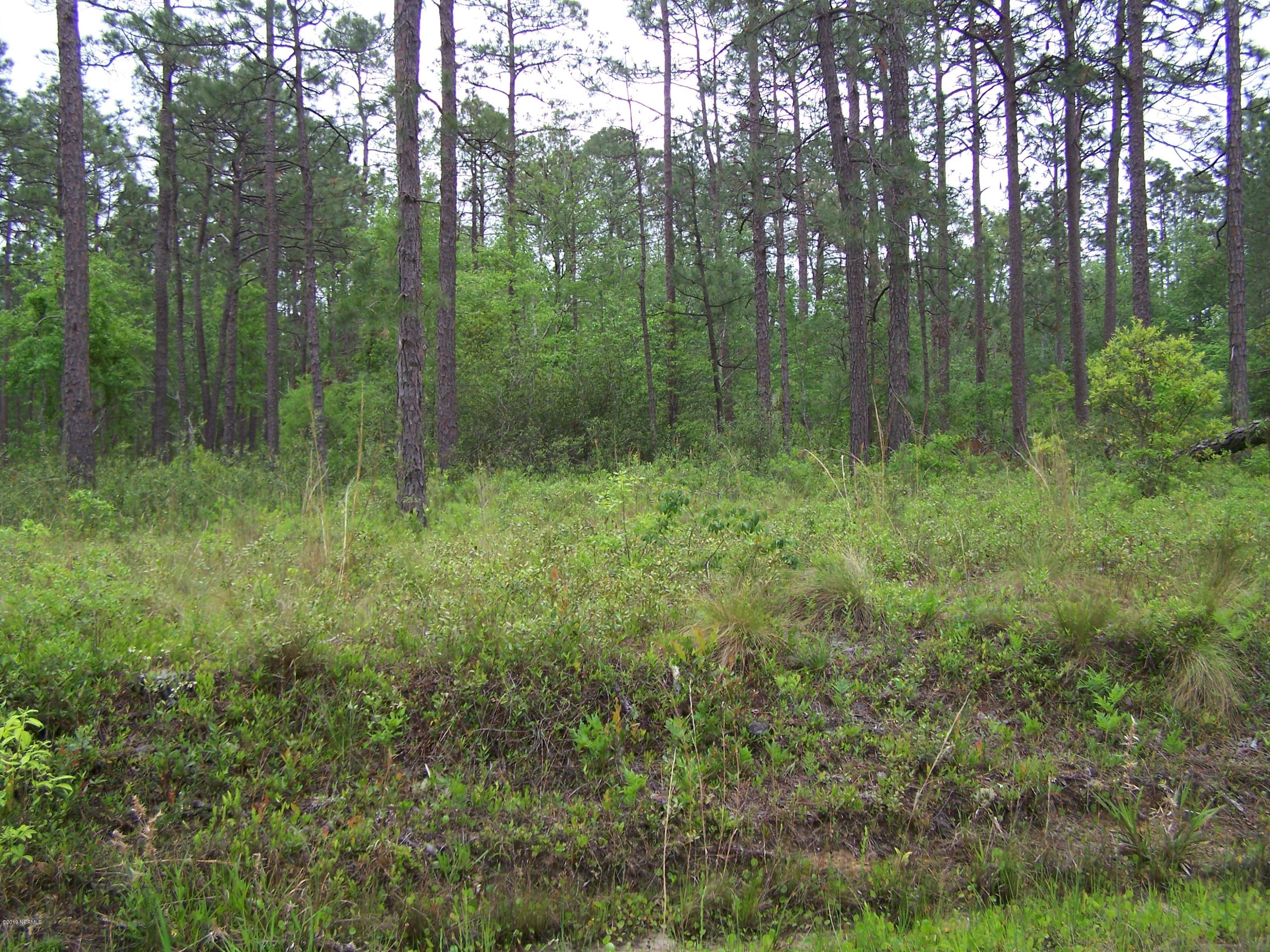 Lot 39 Drake Road Southport, NC 28461 - Photo 4 of 8 100_1733