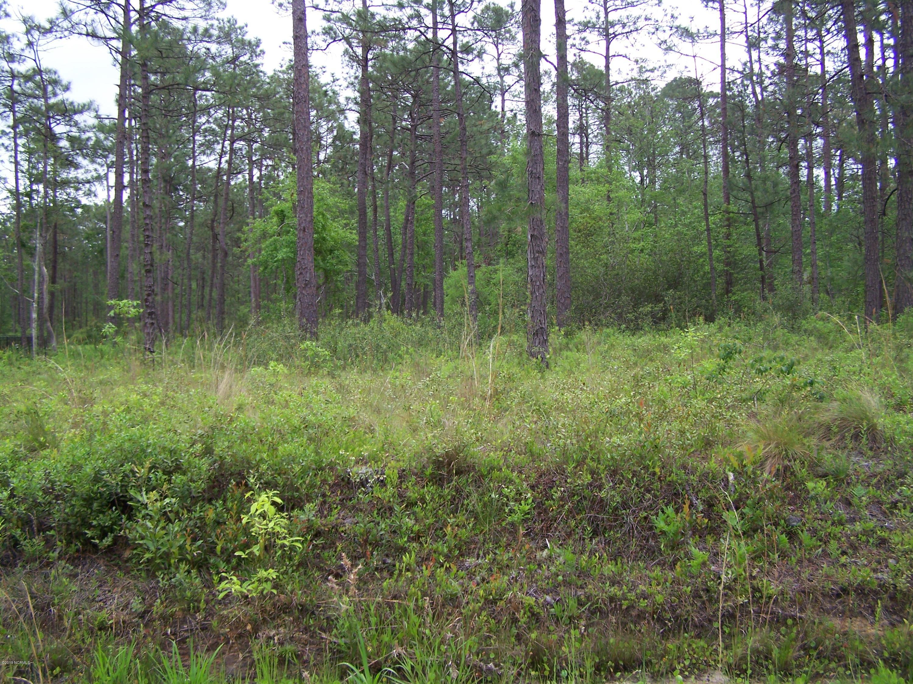 Lot 39 Drake Road Southport, NC 28461 - Photo 5 of 8 100_1734