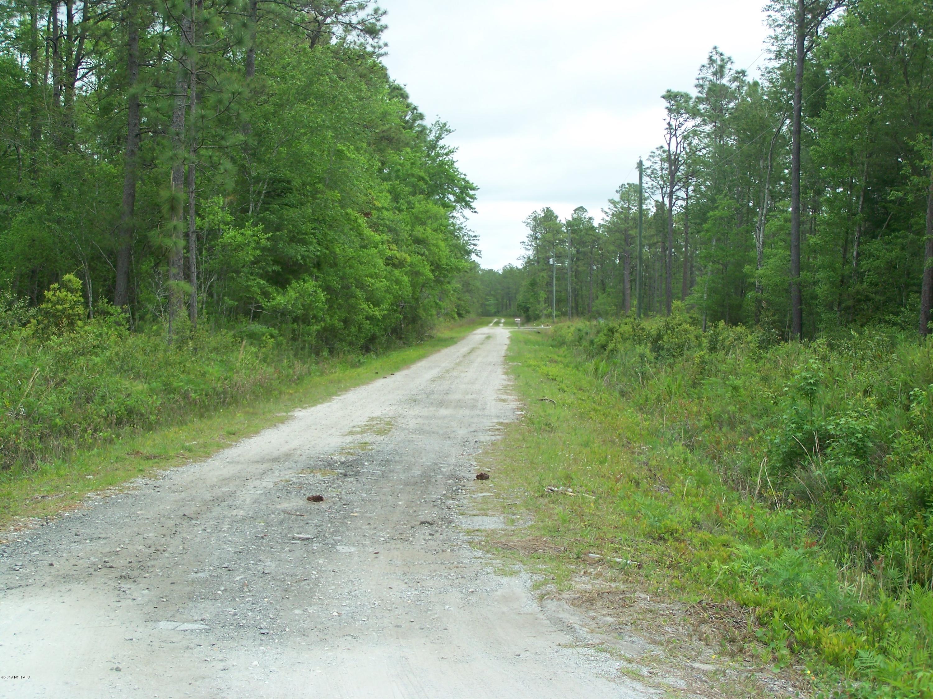 Lot 39 Drake Road Southport, NC 28461 - Photo 6 of 8 100_1729