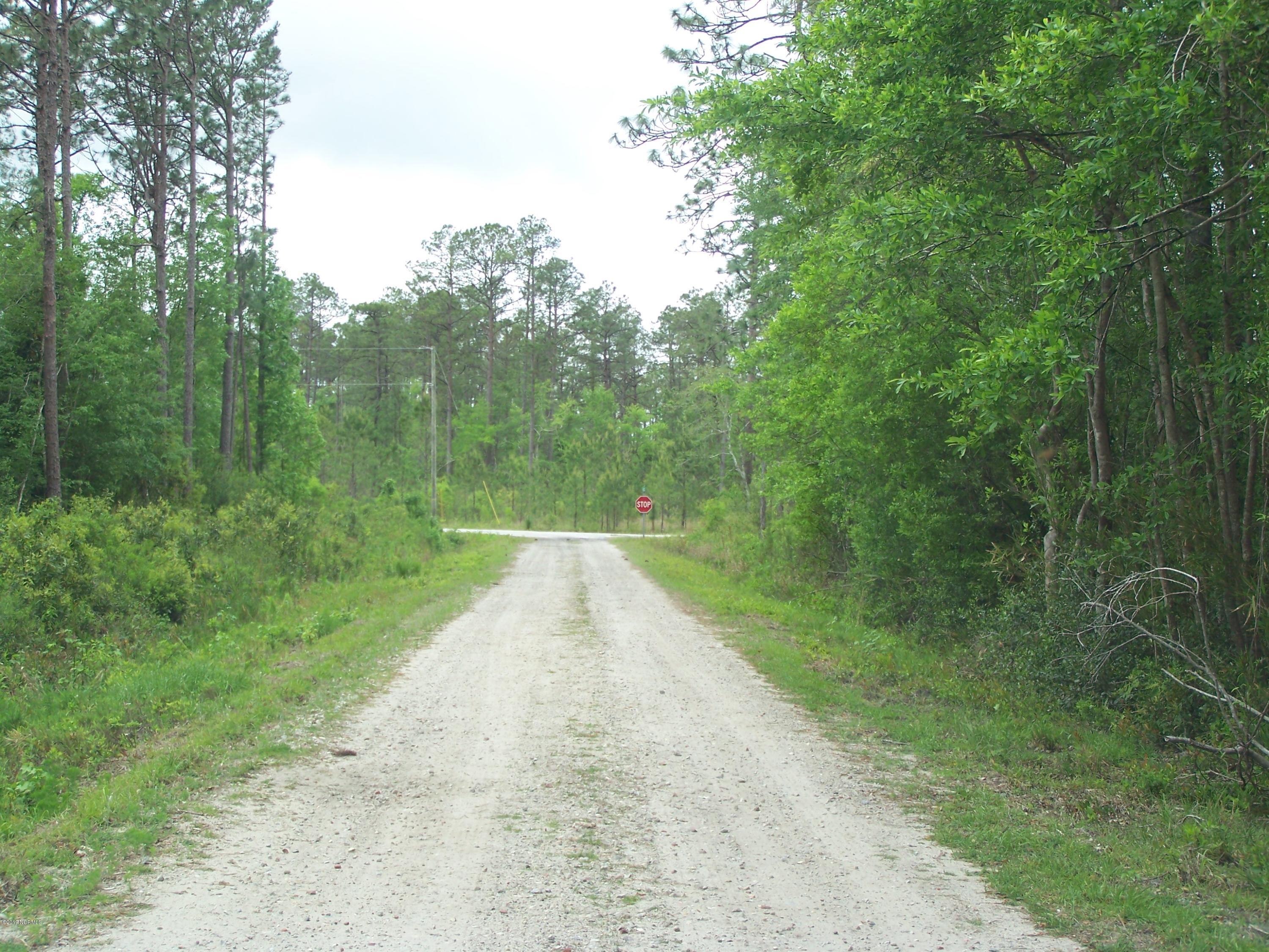 Lot 39 Drake Road Southport, NC 28461 - Photo 7 of 8 100_1730