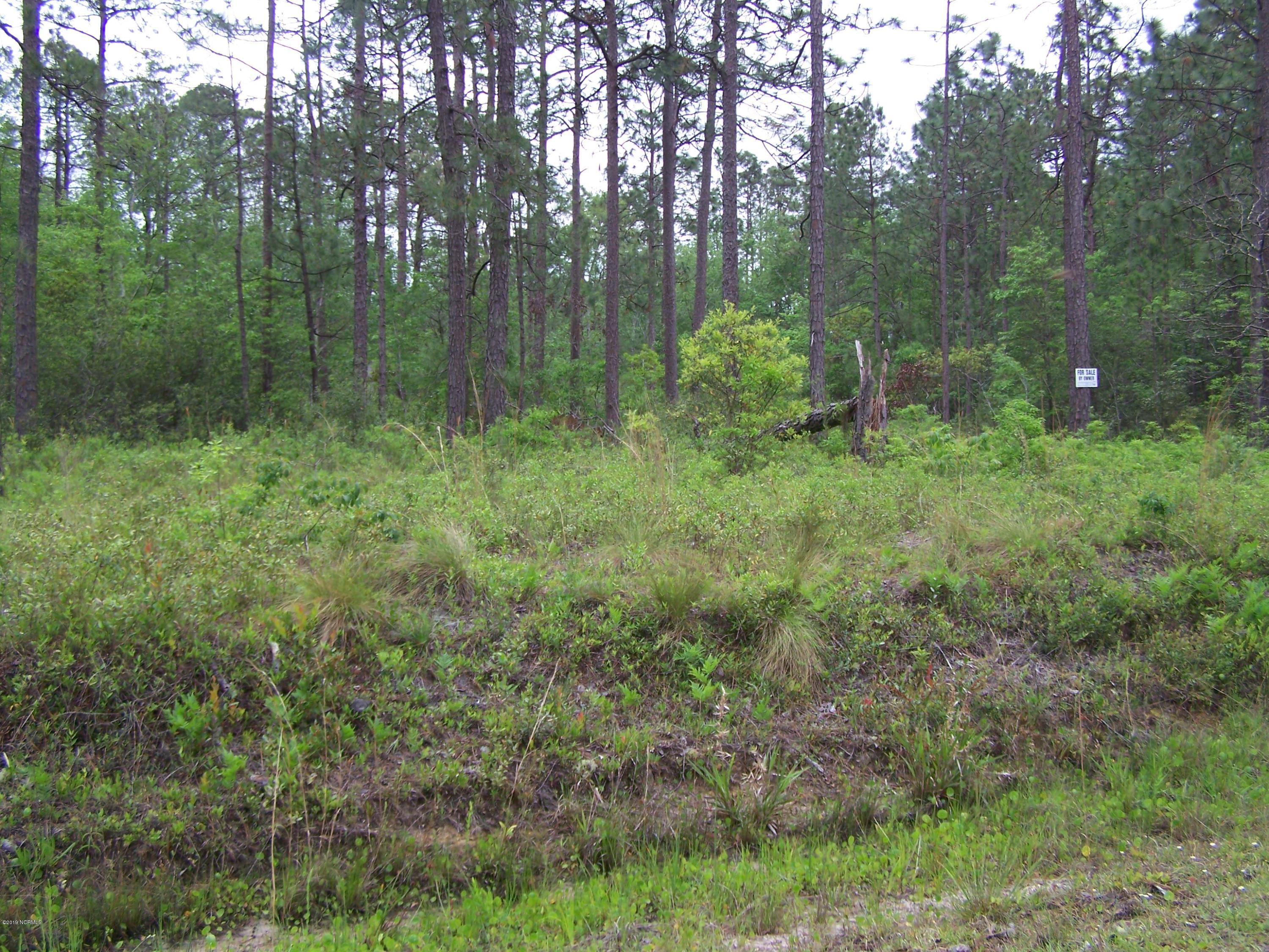 Lot 39 Drake Road Southport, NC 28461 - Photo 8 of 8 100_1735