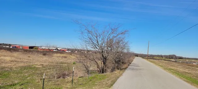 a view of a dry yard with trees
