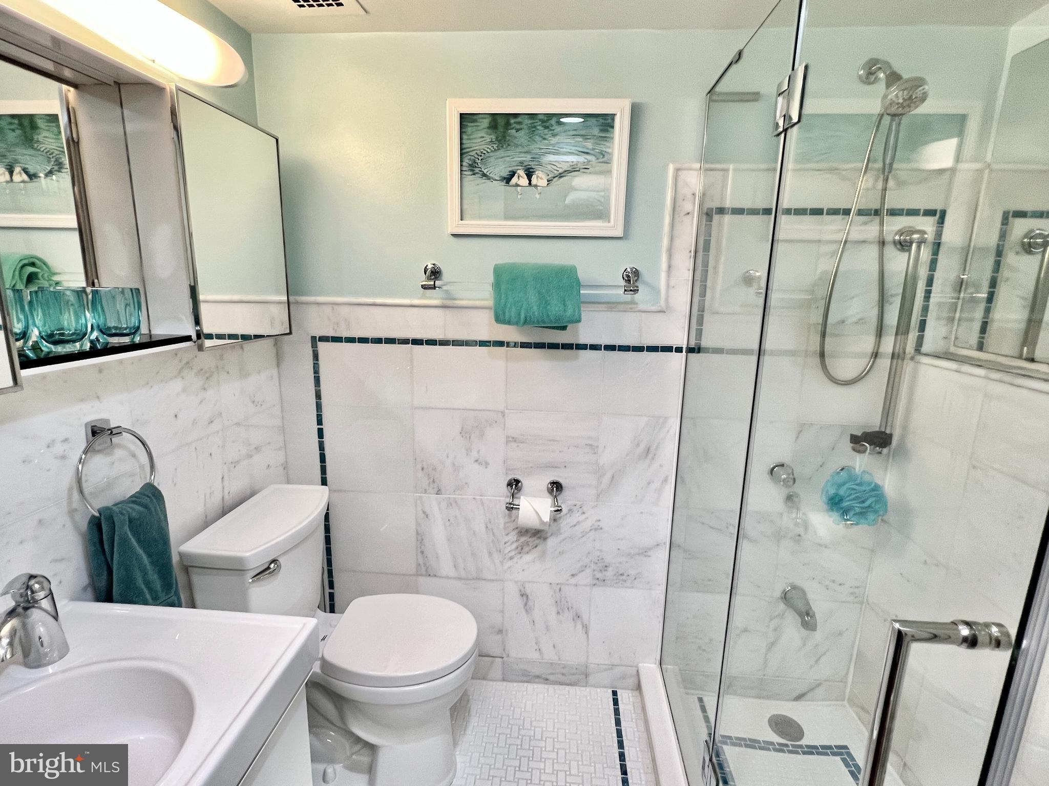 520 N Street Southwest, Unit S112 Washington, DC 20024 - Photo 11 of 46 a bathroom with a toilet sink and shower