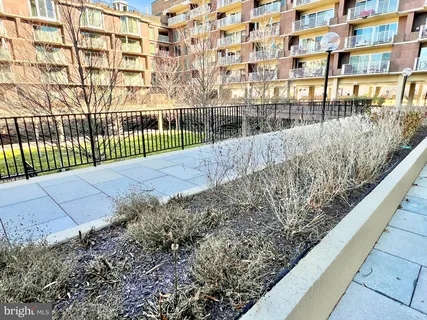 a view of a pathway both side of building
