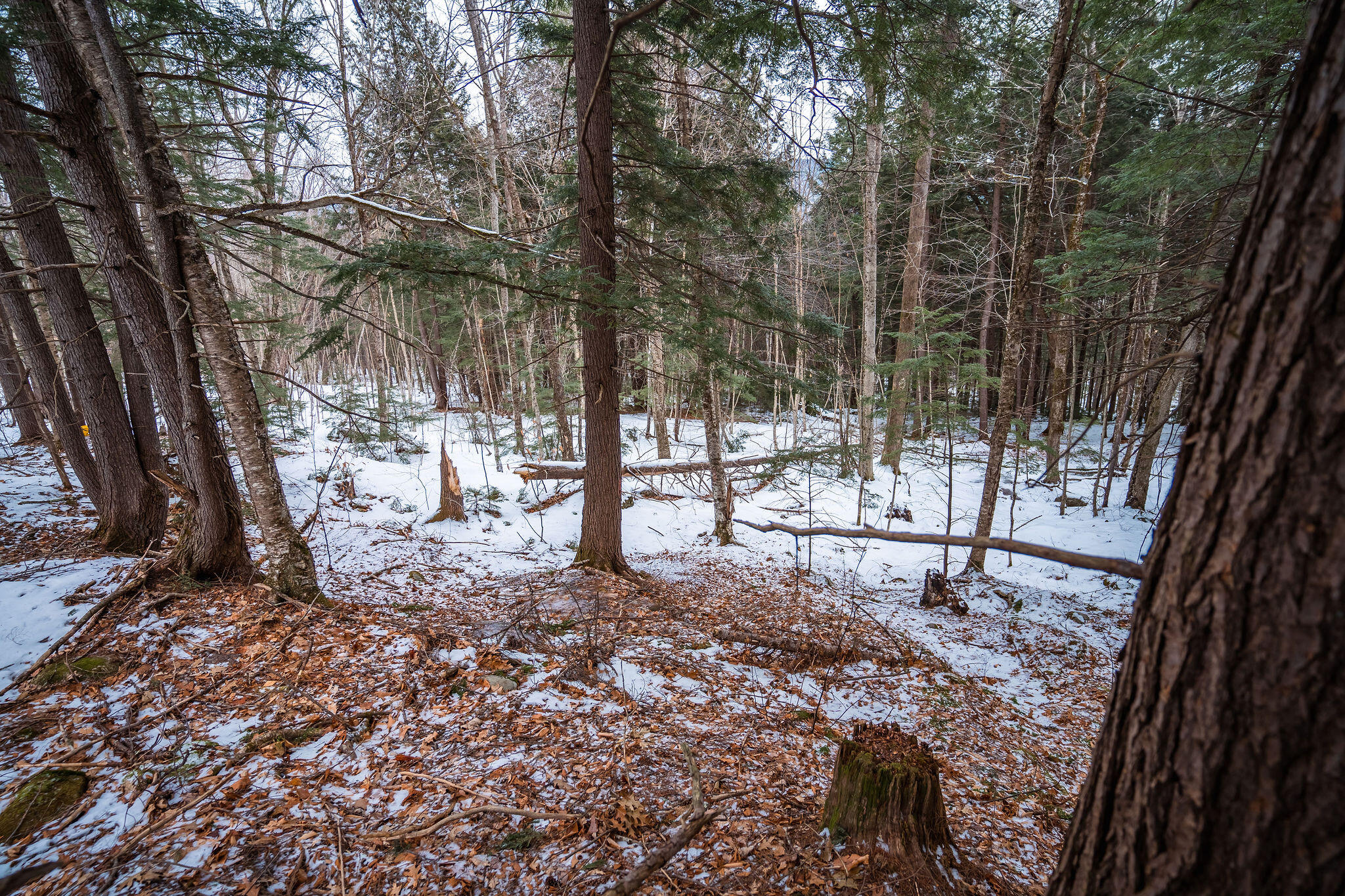 M5-l28 Stow Road Stow, ME 04037 - Photo 19 of 32 Hillside portion of lot