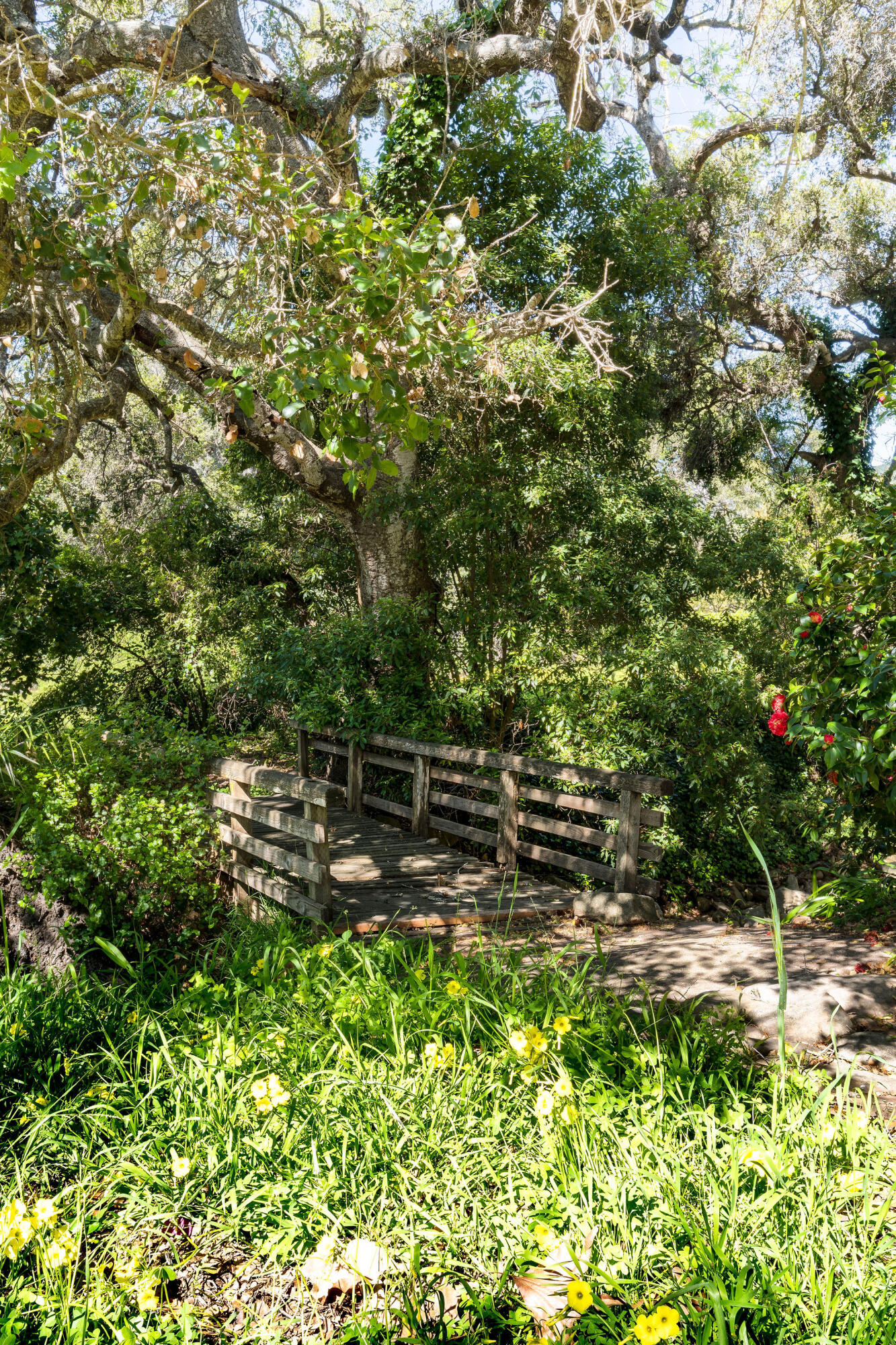 633 Tabor Lane Montecito, CA 93108 - Photo 25 of 30 a view of a pathway with a tree