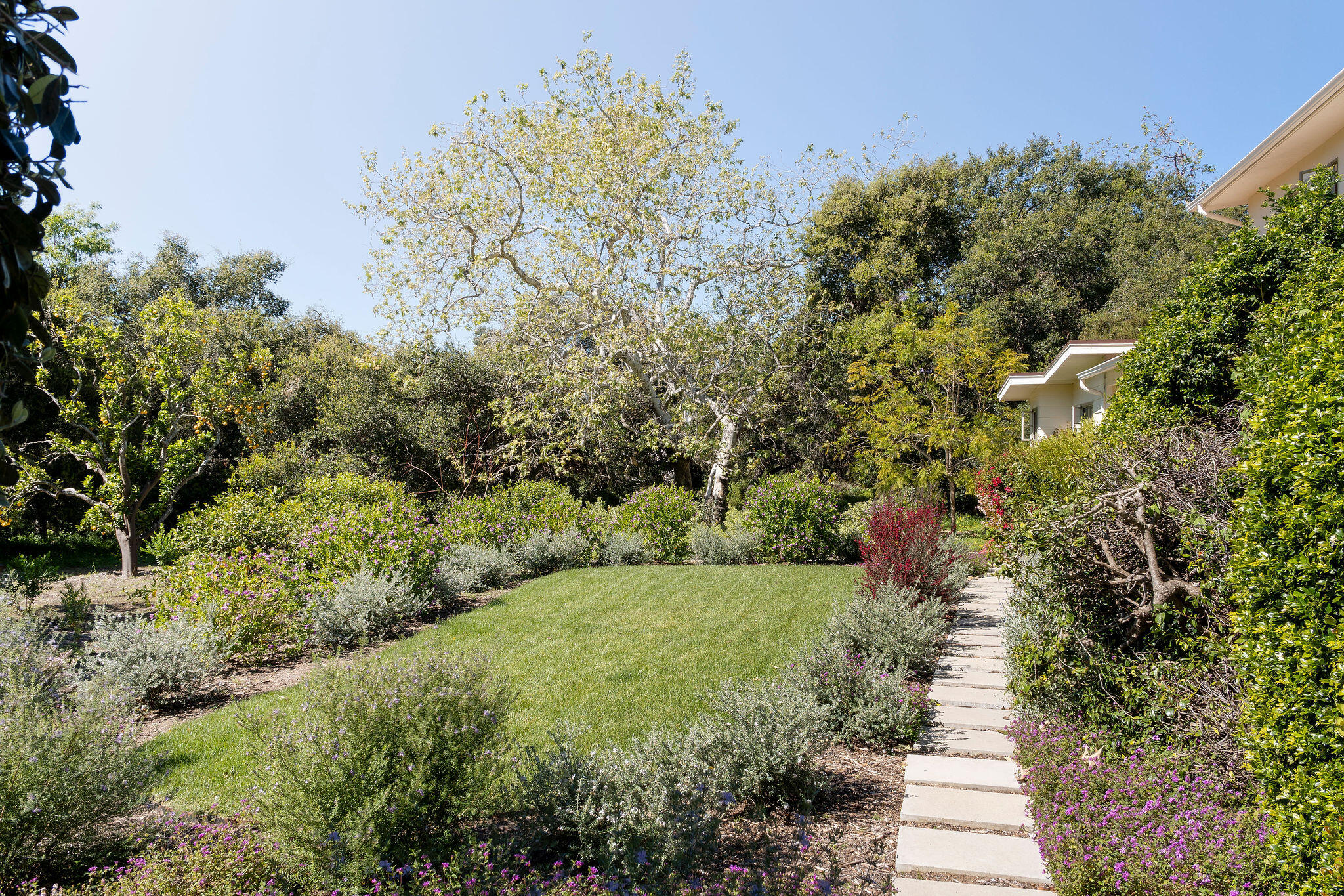633 Tabor Lane Montecito, CA 93108 - Photo 4 of 30 a view of a garden with plants and large trees