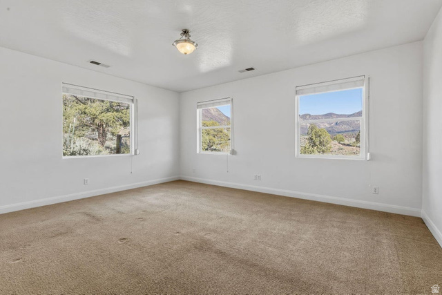 1001 Pine Valley Road Pine Valley, UT 84781 - Photo 31 of 49 Carpeted empty room with baseboards
