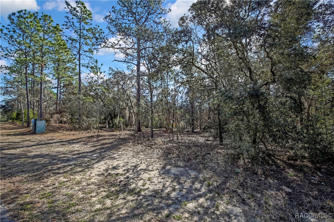 3905 North Longvalley Road Hernando, FL 34442 - Photo 2 of 12