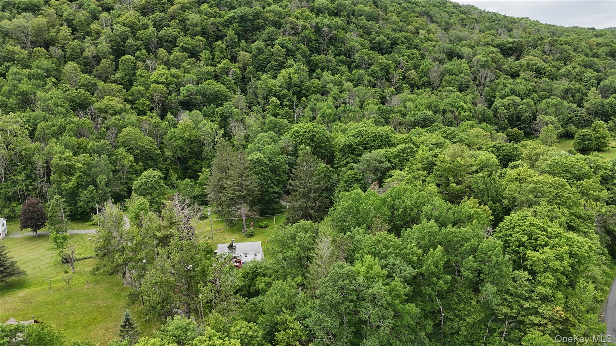 549 Gavette Road Roscoe, NY 12776 - Photo 30 of 31 a view of a lush green forest