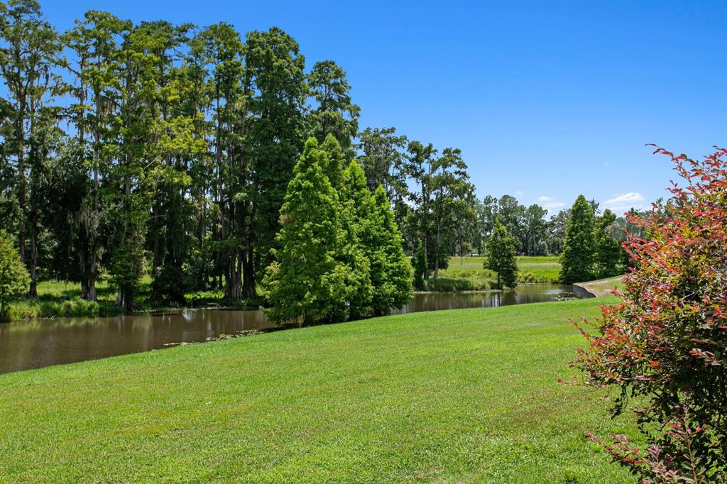 7850 West Four Pines Road Plant City, FL 33565 - Photo 79 of 89 Gallery Image 79