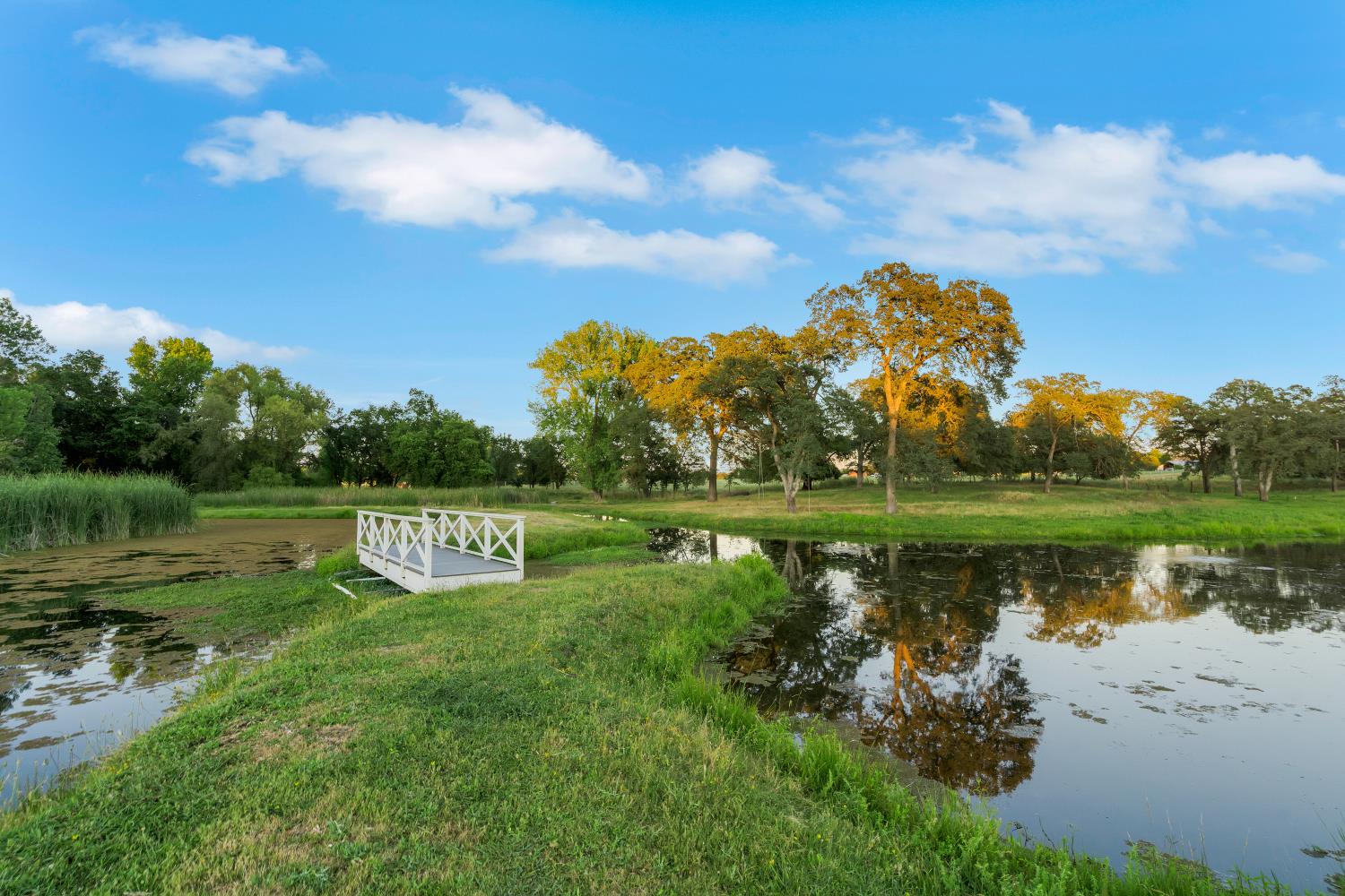 2905 Virginiatown Road Lincoln, CA 95648 - Photo 5 of 86 Private pond with a white wooden pier, surrounded by mature trees and lush green landscaping