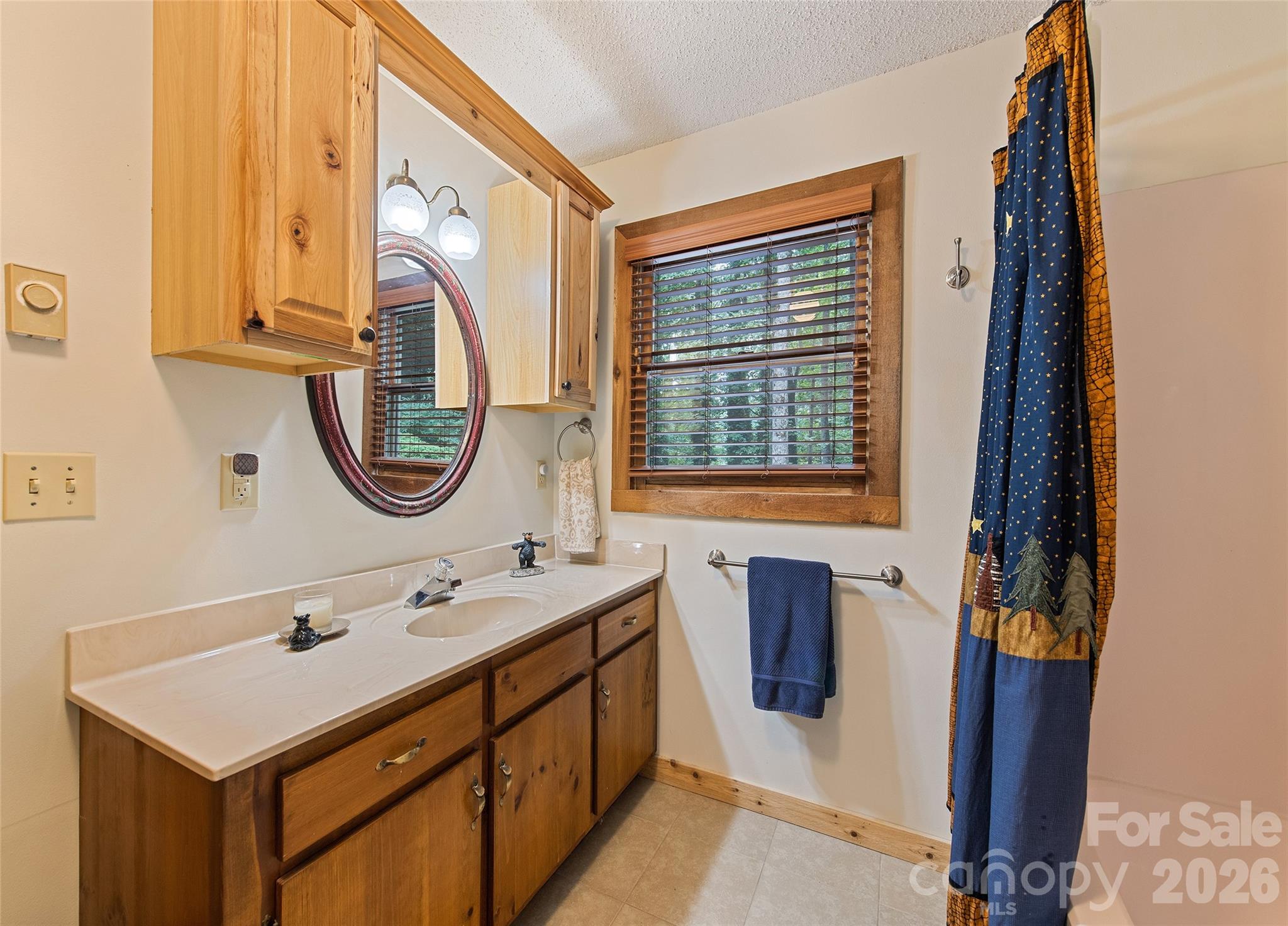 294 Laurel Branch Road Maggie Valley, NC 28751 - Photo 21 of 34 Gallery Image 21