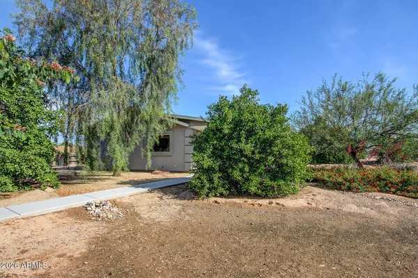 a view of a yard with plants and trees