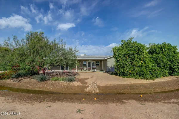 a view of a house with a yard and plant