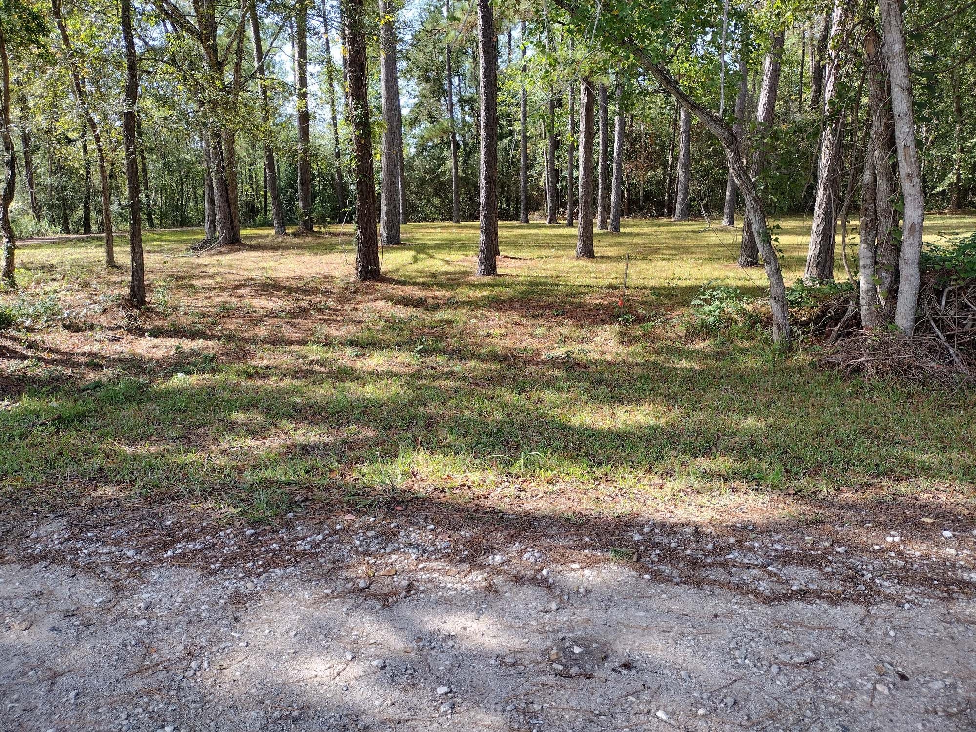 0 Barbil Lane Huffman, TX 77336 - Photo 2 of 7