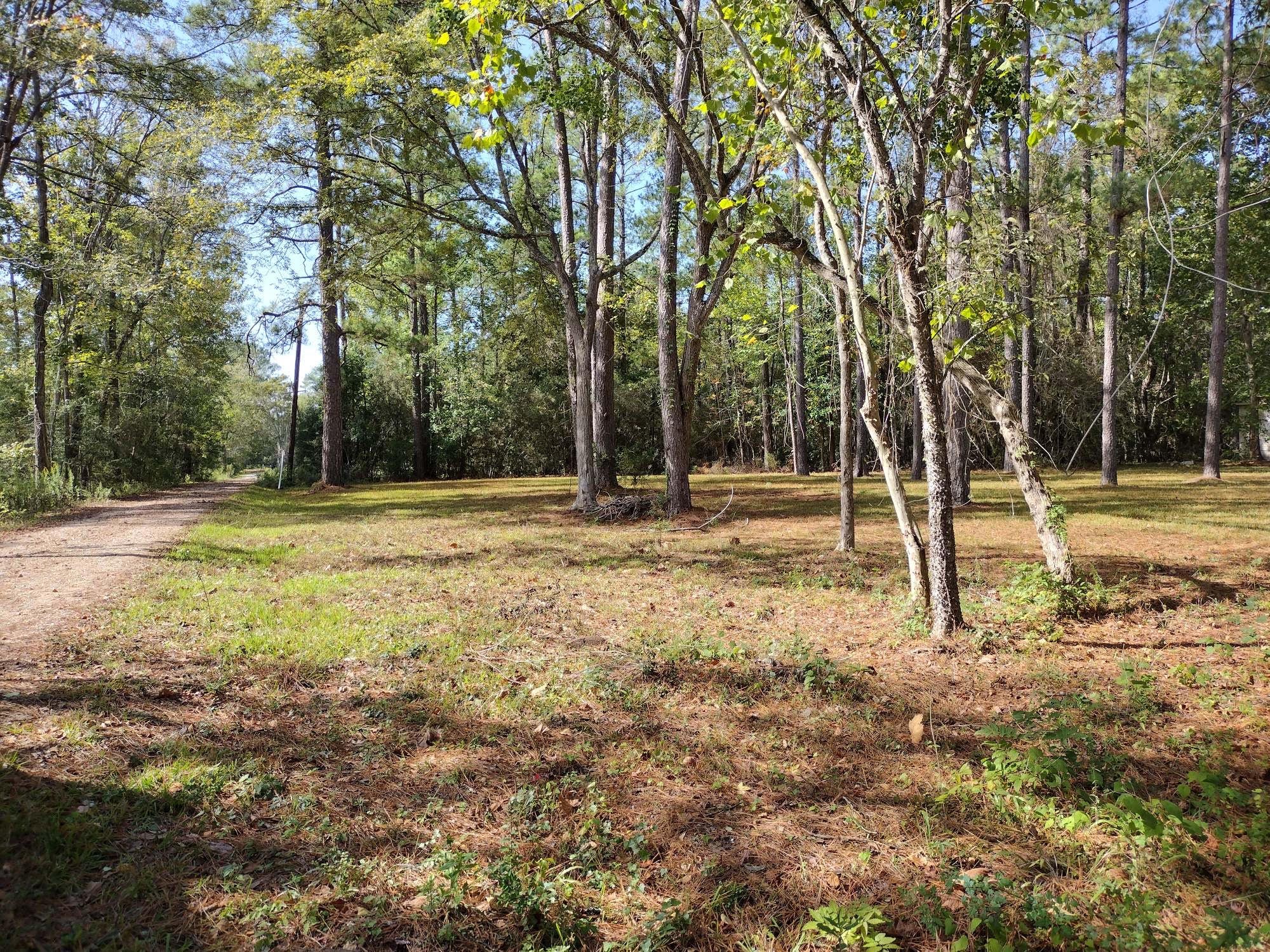 0 Barbil Lane Huffman, TX 77336 - Photo 3 of 7