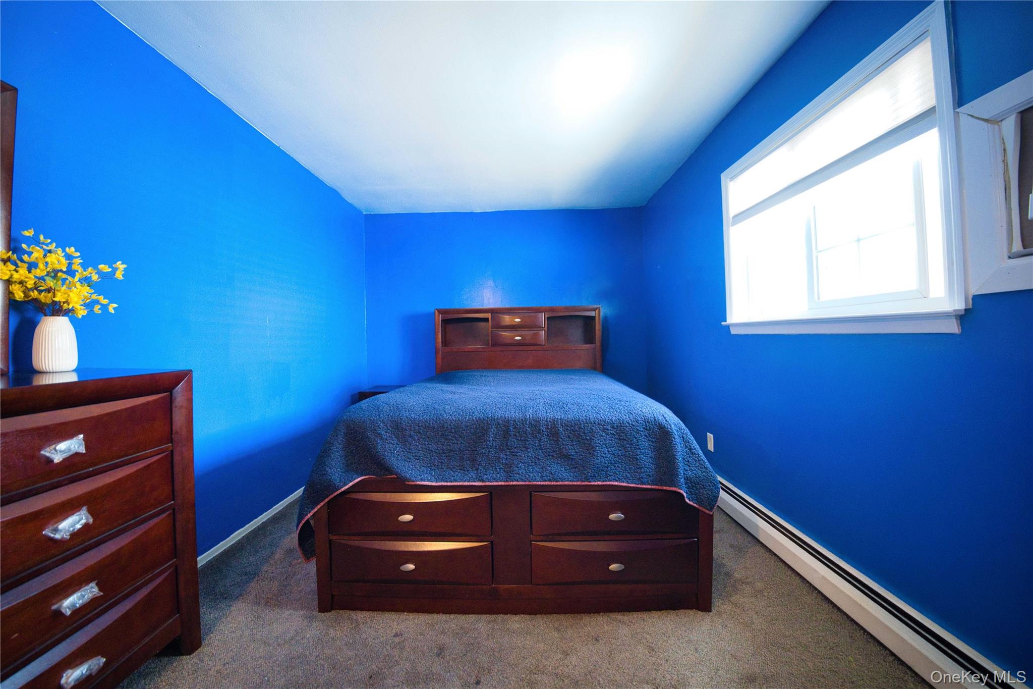65 Cheshire Road Bethpage, NY 11714 - Photo 11 of 28