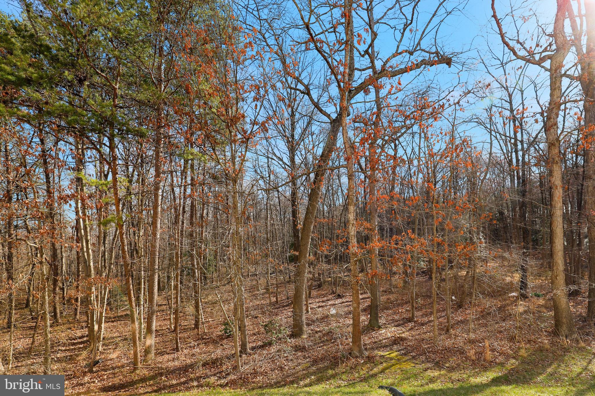 1906 Scaffold Way Odenton, MD 21113 - Photo 53 of 60