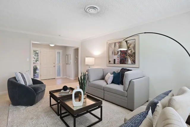 a living room with furniture and a potted plant