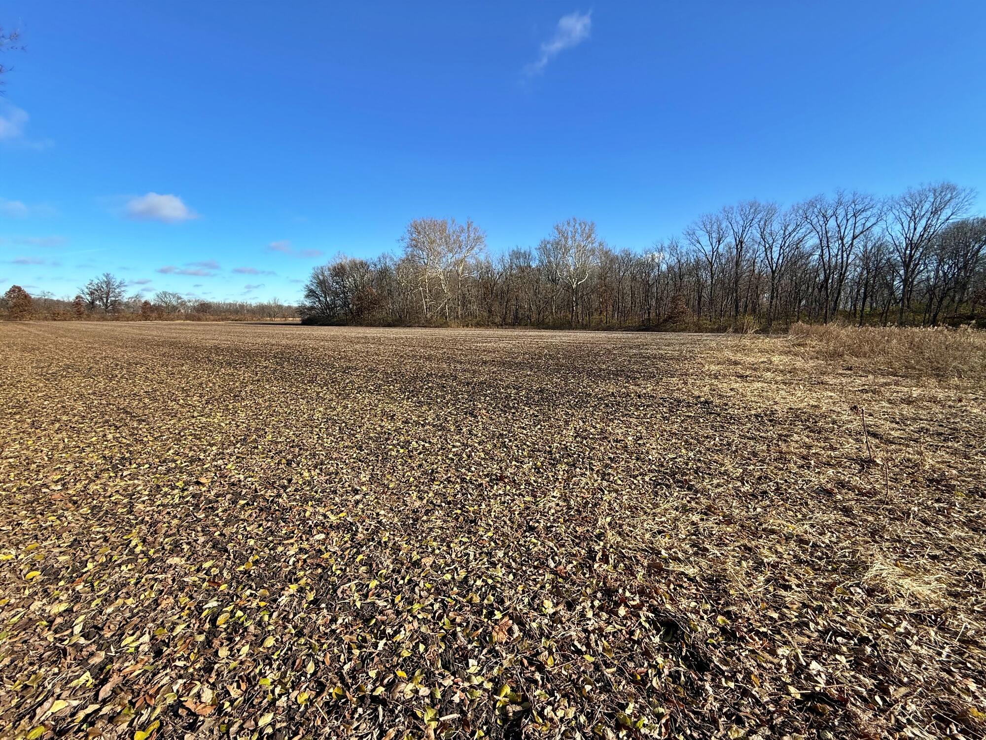 4400 Silver Shale Lane Lafayette, IN 47909 - Photo 12 of 19 a view of lake view and mountain