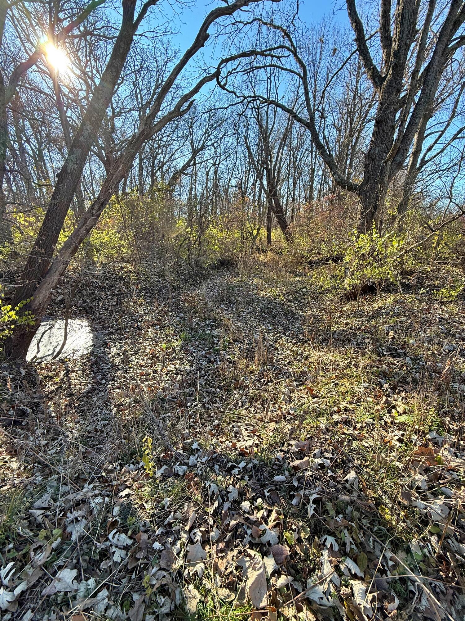 4400 Silver Shale Lane Lafayette, IN 47909 - Photo 19 of 19 a view of tree