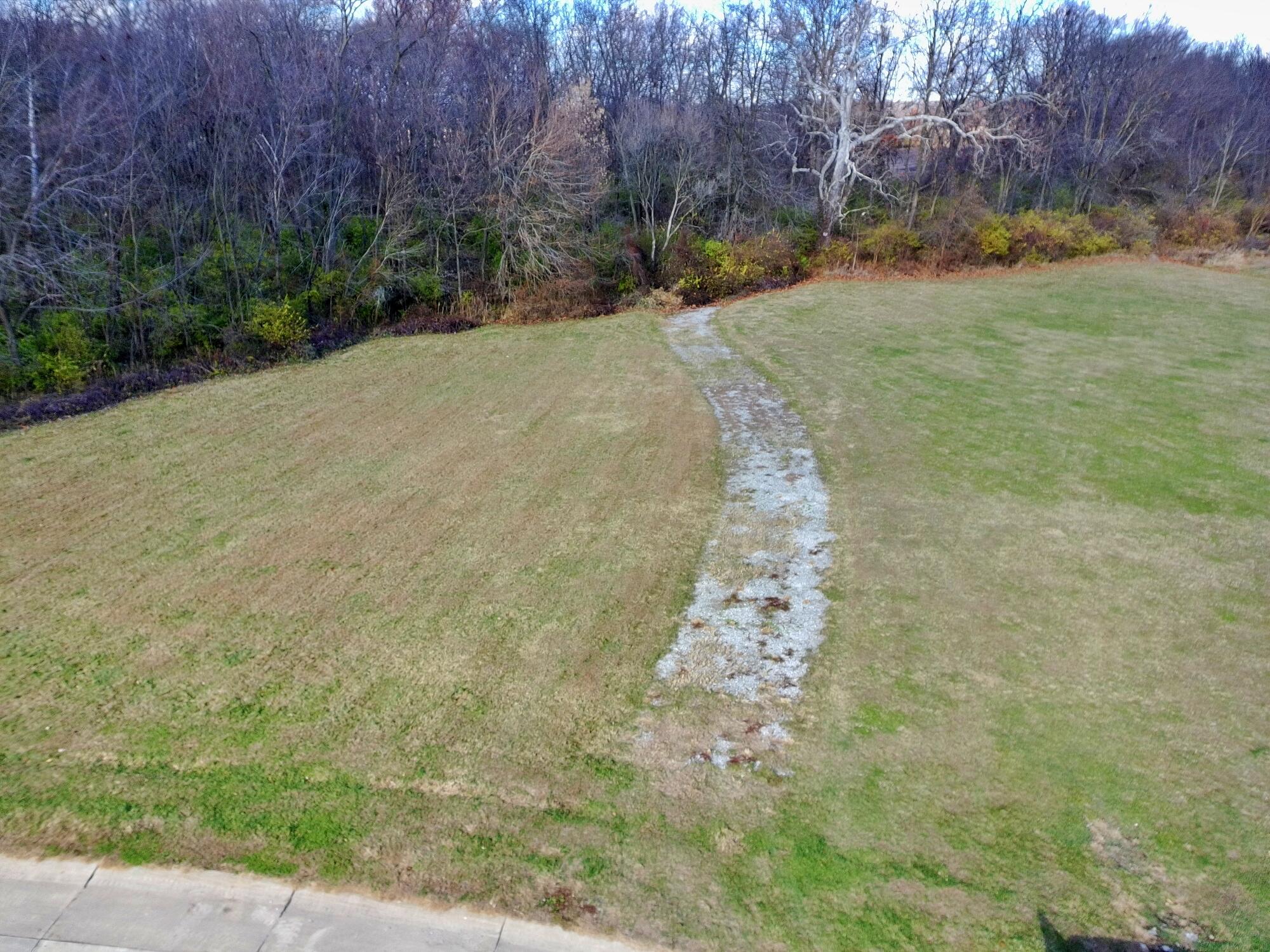 4400 Silver Shale Lane Lafayette, IN 47909 - Photo 7 of 19 a view of a yard with trees
