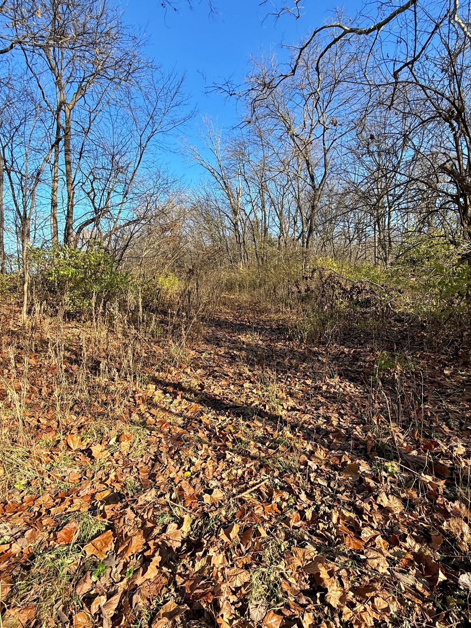 4400 Silver Shale Lane Lafayette, IN 47909 - Photo 8 of 19 a view of a yard