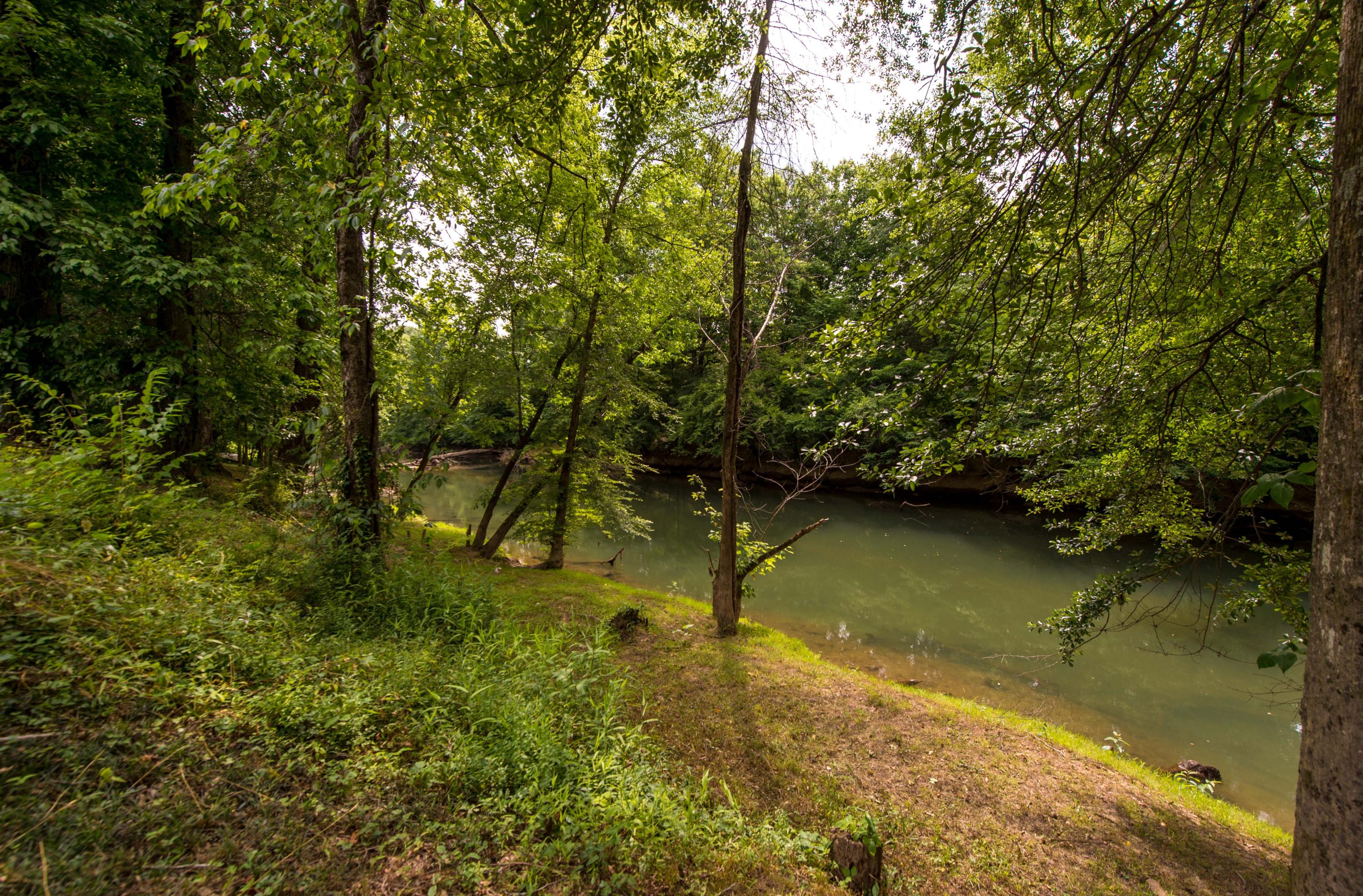 2444 Hamill Road Hixson, TN 37343 - Photo 22 of 24 view of creek 1