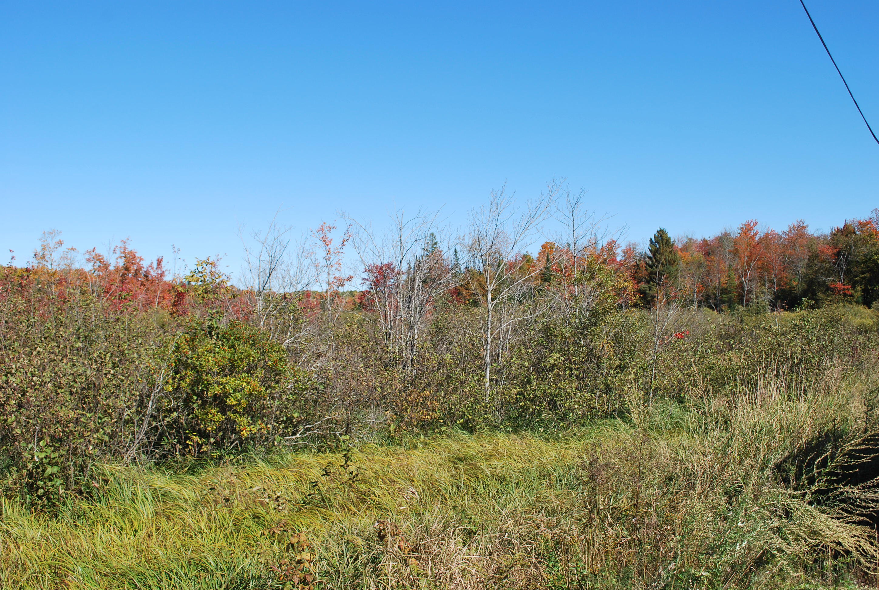 Lot # Lot#9-1 Beans Corner Road Hartland, ME 04943 - Photo 2 of 8 Clowery--Beans Corner Road 001