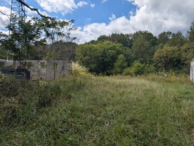 a view of a yard with a tree