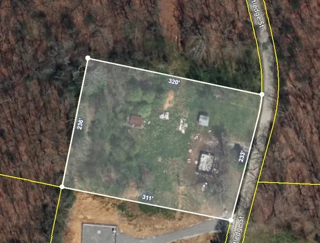 a view of yard with green space