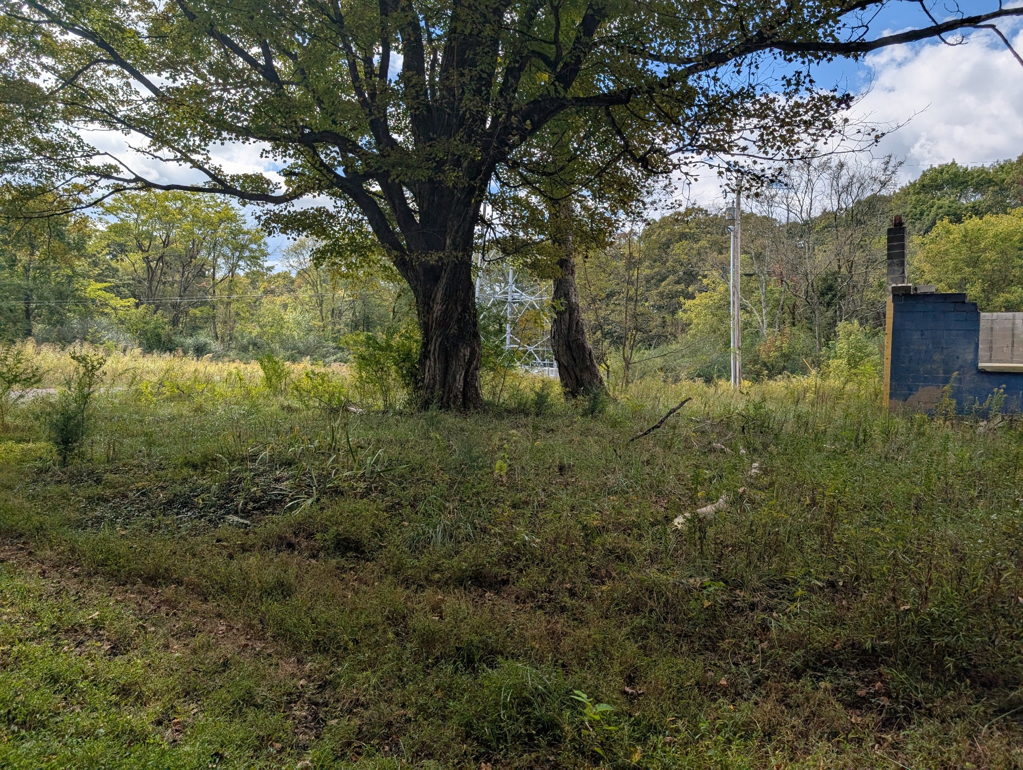 845 Rutledge Street Tracy City, TN 37387 - Photo 6 of 16 a view of yard with green space