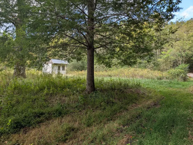 a view of a field of grass and trees