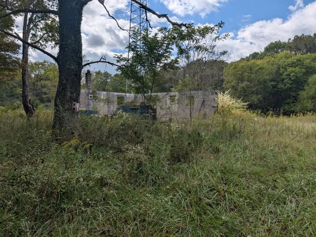 a view of a field of grass and trees