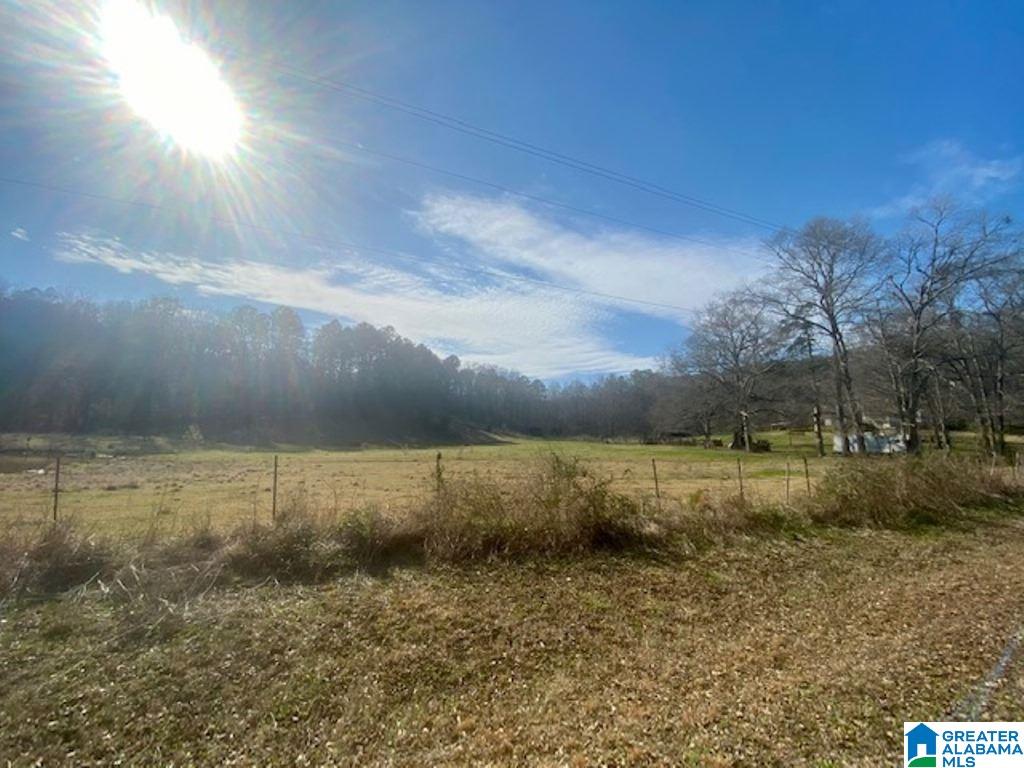 3154 Taylors Mill Road Talladega, AL 35160 - Photo 40 of 46
