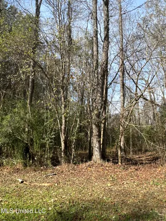 $368,125 | 4 Whiddon Road, Canton, MS 39046