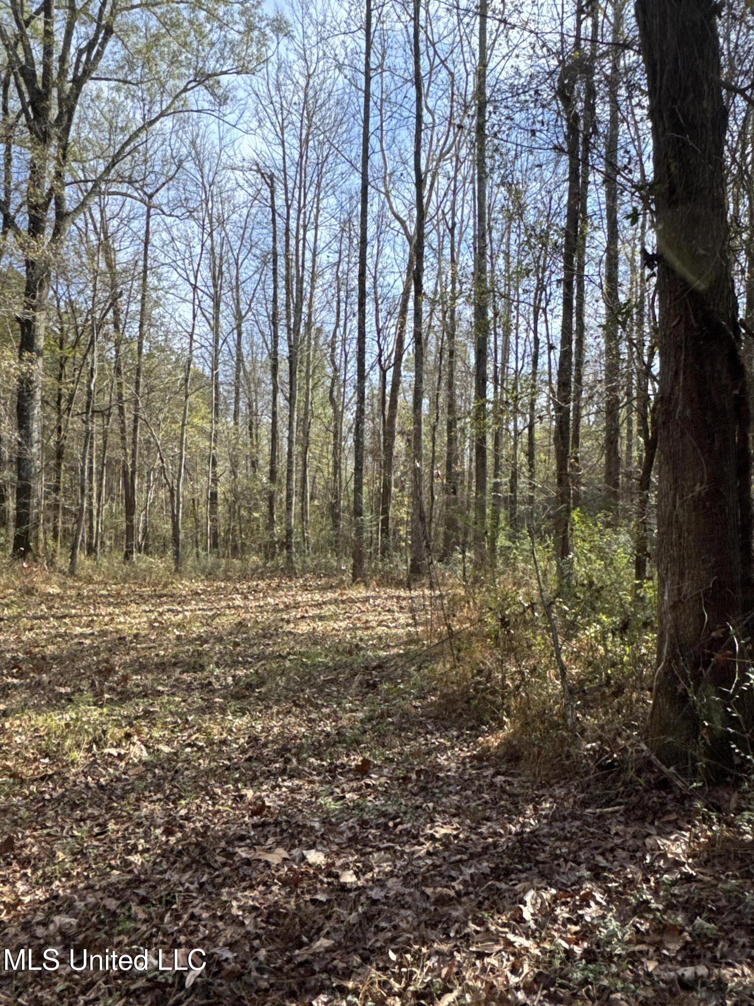 4 Whiddon Road Canton, MS 39046 - Photo 16 of 45 IMG_1616