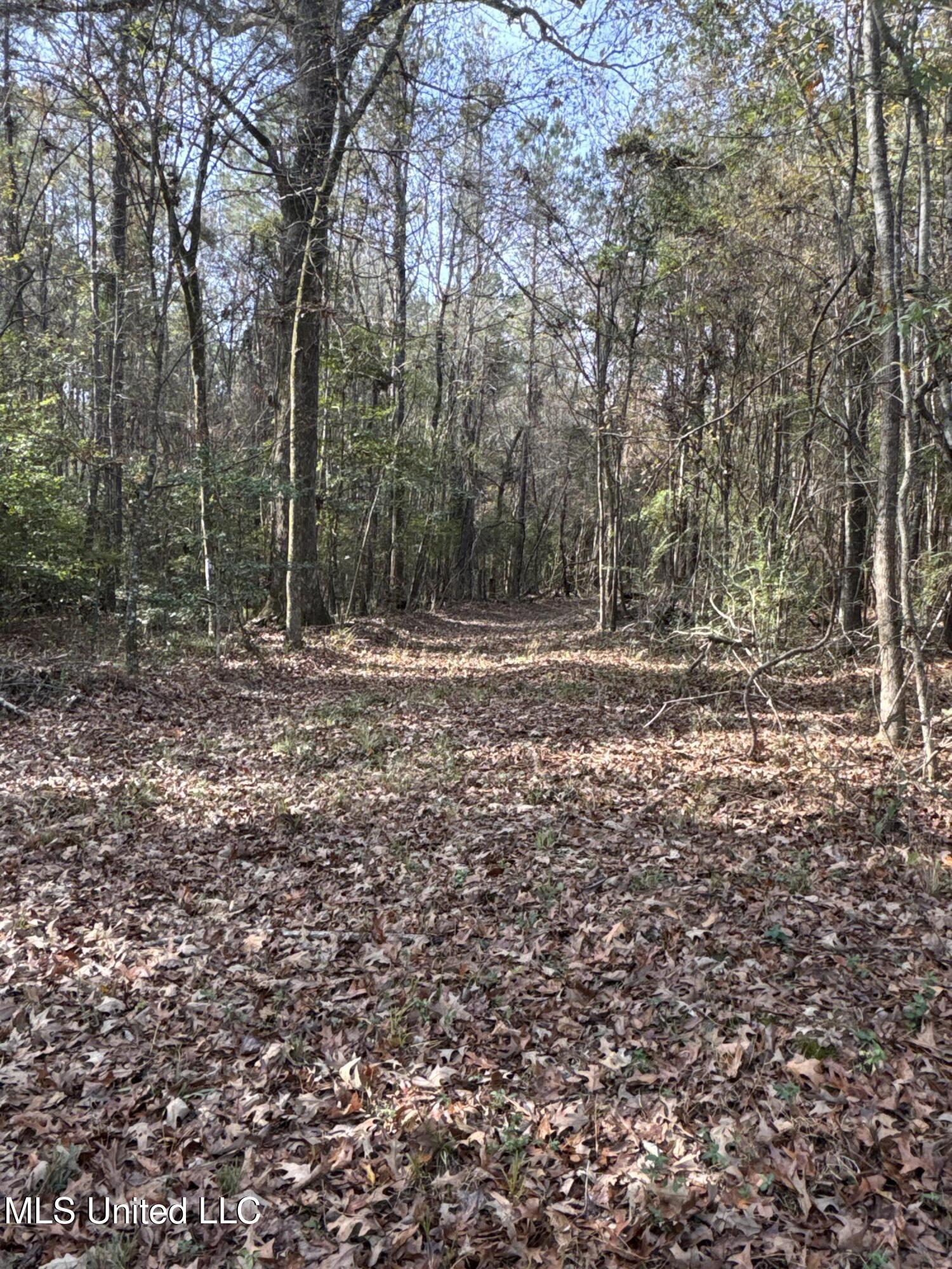 4 Whiddon Road Canton, MS 39046 - Photo 17 of 45 IMG_1617