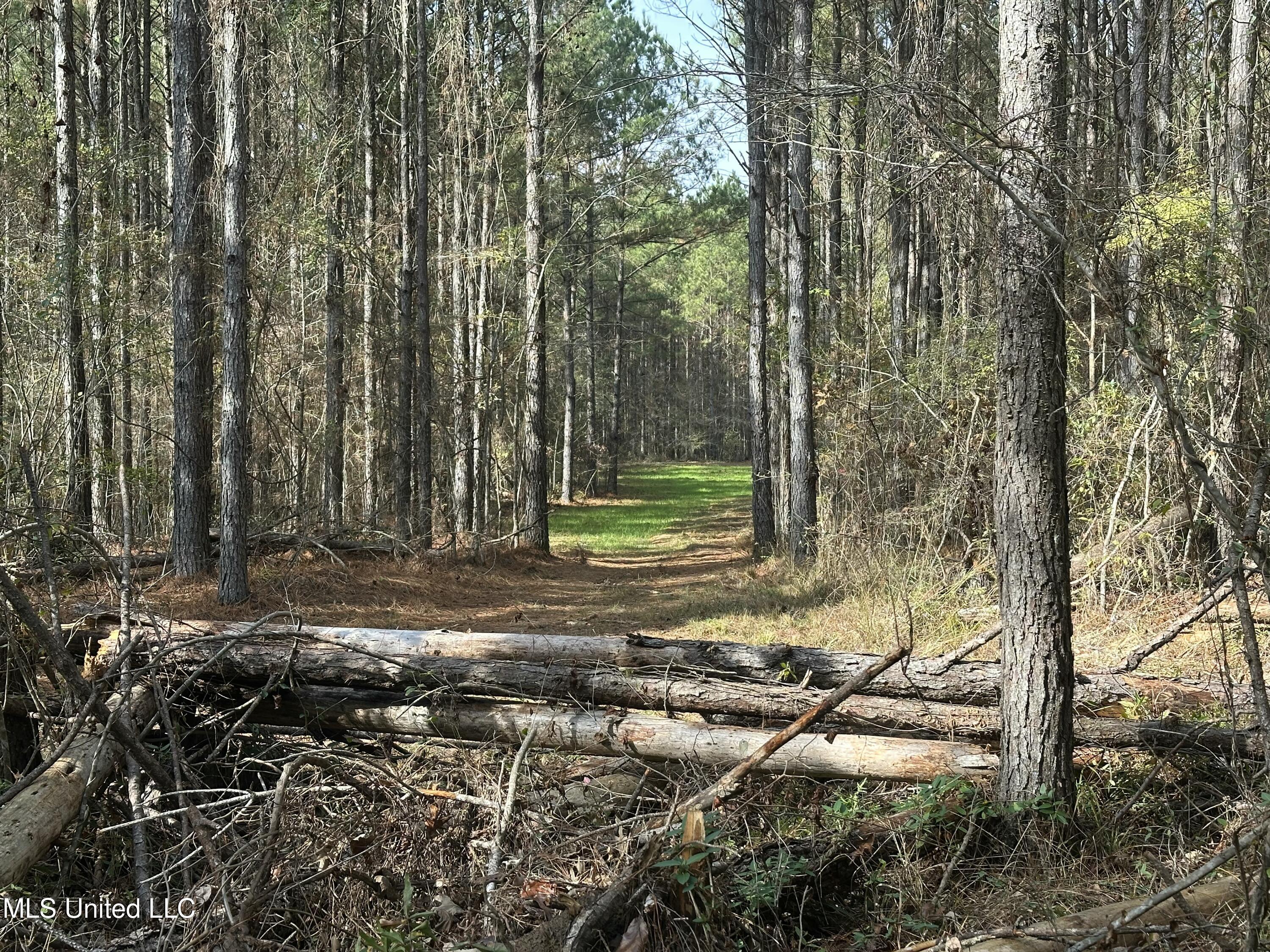 4 Whiddon Road Canton, MS 39046 - Photo 23 of 45 IMG_3869