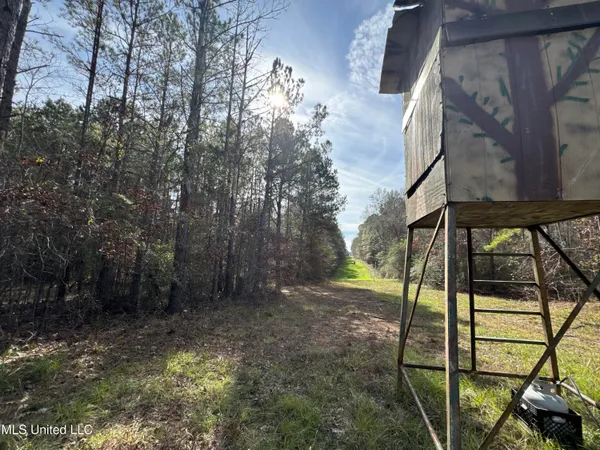 $368,125 | 4 Whiddon Road, Canton, MS 39046