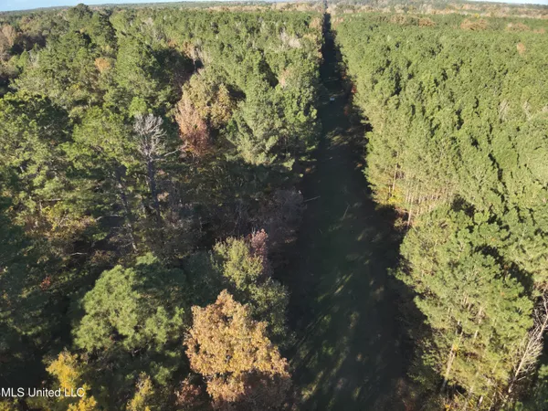 $368,125 | 4 Whiddon Road, Canton, MS 39046