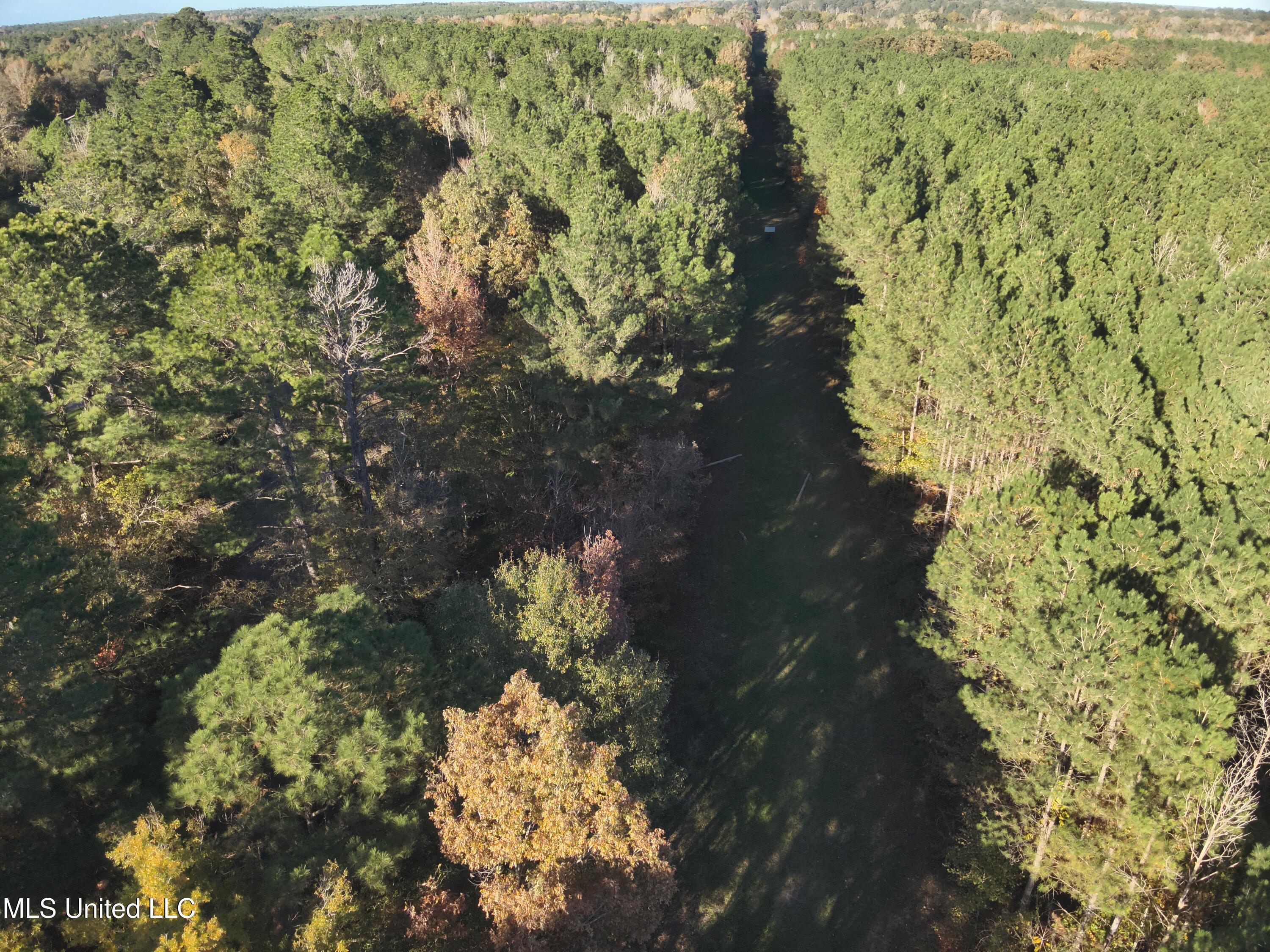 4 Whiddon Road Canton, MS 39046 - Photo 34 of 45 DJI_20251109151854_0001_V